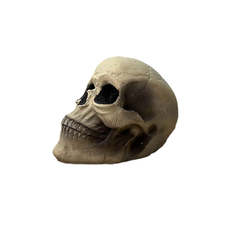 Halloween-skulls